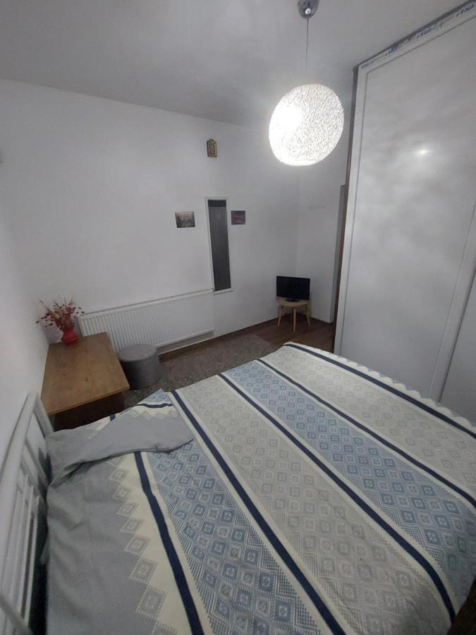 Camere Centrale Apartment Pitesti