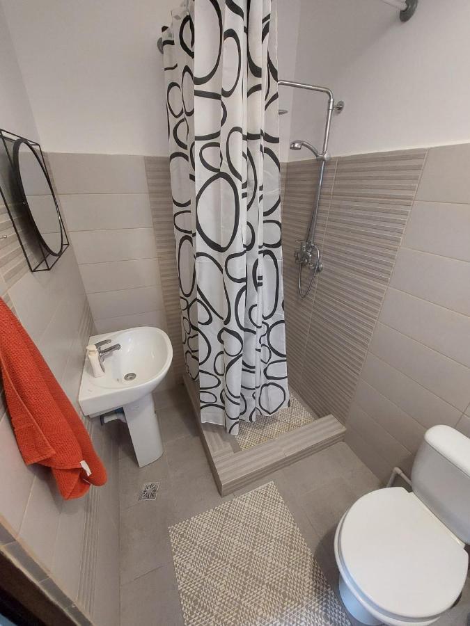 Camere Centrale Apartment Pitesti