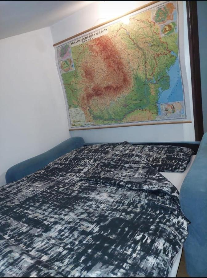 Camere Centrale * Pitesti